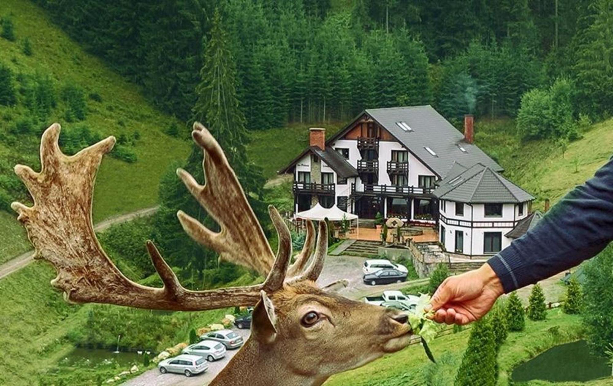 Pensiunea Poiana Izvoarelor Vatra Dornei Exterior photo